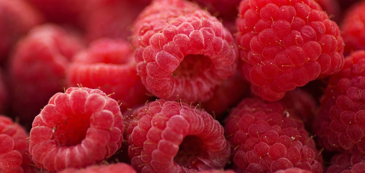 Himbeeren